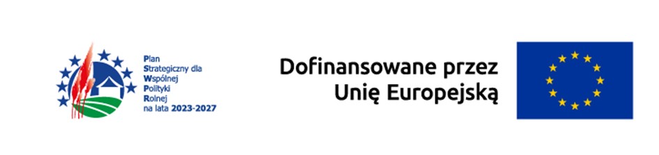 Logotypy unijne - informacja o współfinansowaniu zadania ze środków Unii Europejskiej.